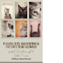 Recherche de amour de chat bureau fournitures Animal