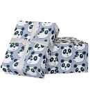 Recherche de ours kawaii papier cadeau Motif