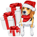Recherche de noël beagle cartes postales Chapeau santa