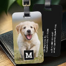Recherche de voyage de chien bagages étiquettes Pour animaux