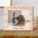 Recherche de chats cadres photos Cats