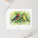 Recherche de oiseaux toutes vœux cartes Toutes les occasions
