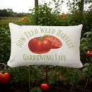 Recherche de plant cushion coussins Jardinage