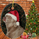 Recherche de weimaraner ornements Vacances