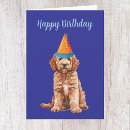 Recherche de happy birthday goldendoodle Chiot