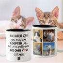 Recherche de dire de chat Cats