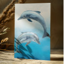 Recherche de dauphins cartes postales Eau