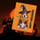 Recherche de chien basset hound cartes postales Hacher