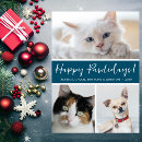 Recherche de collage de chat vœux cartes Chien