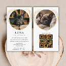 Recherche de dog cartes visite Assise