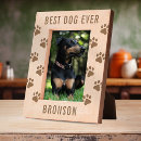 Recherche de dog présentoirs photos Amoureux des animaux