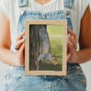 Recherche de écureuil gris posters Photographie de la nature