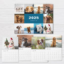 Recherche de chien drôle bureau fournitures Moderne