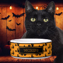 Recherche de noir de halloween chat articles Pour animaux