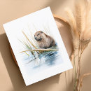 Recherche de réaliste cartes postales Faune