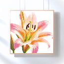 Recherche de tige art Aquarelle