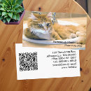 Recherche de chats de chat photographie Client(e)