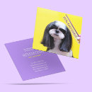 Recherche de servir cartes visite Gardien de chiens