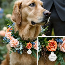 Recherche de invitations animaux articles Dogs