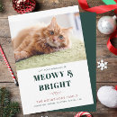 Recherche de collage de chat vœux cartes Toute personne