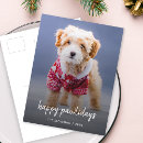 Recherche de chien heureux cartes postales Dogs