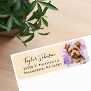 Recherche de yorkshire terrier Amoureux des animaux