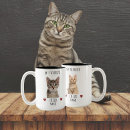 Recherche de image de chat tasses Pour animaux