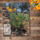 Recherche de fleuri photographie Photographie de la nature