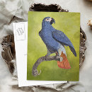 Recherche de oiseau perroquet cartes postales Illustration