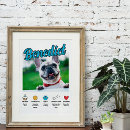 Recherche de mon chien posters Portrait
