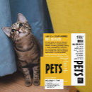 Recherche de chat standard cartes visite Customer