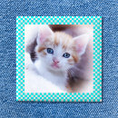 Recherche de aqua et blanc badges Motif