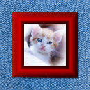 Recherche de bordure badges Cadre