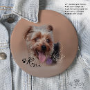 Recherche de yorkshire badges Chien