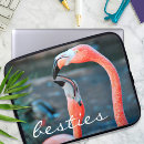 Recherche de flamants photographie Pour tous