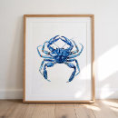 Recherche de crustac posters Maison de plage