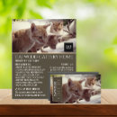 Recherche de animal 11x14 prospectus Customer
