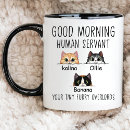Recherche de propriétaire de chat tasses Pour animaux