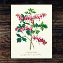 Recherche de affection cartes postales Nature