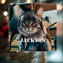 Recherche de chats drôles ornements Toute personne