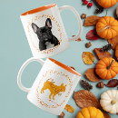Recherche de taureaux tasses Pour animaux