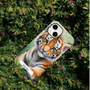 Recherche de bois coques Pour lui