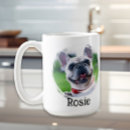 Recherche de propriétaire de chat tasses Amoureux des chiens