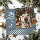 Recherche de chats drôles noël cartes Pour eux