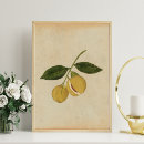 Recherche de dessin fruit posters Pour elle