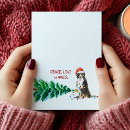 Recherche de bernese vœux cartes Bernese mountain dog