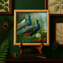 Recherche de paon carreaux Aquarelle