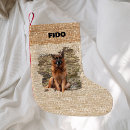 Recherche de nom chaussette de noël Dogs
