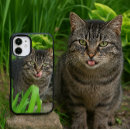Recherche de cute cat iphone coques Félin