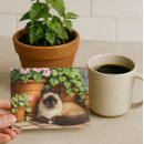 Recherche de menteur cartes postales Pour tous